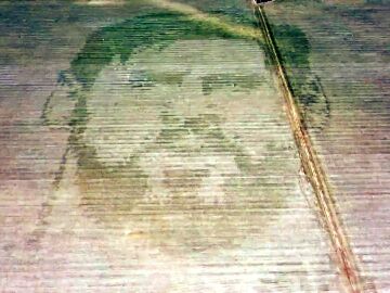 Messi, en un campo de maíz en Argentina