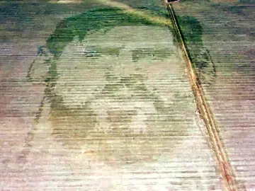 Messi, en un campo de maíz en Argentina Messi, en un campo de maíz en Argentina