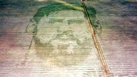 Messi, en un campo de maíz en Argentina Messi, en un campo de maíz en Argentina