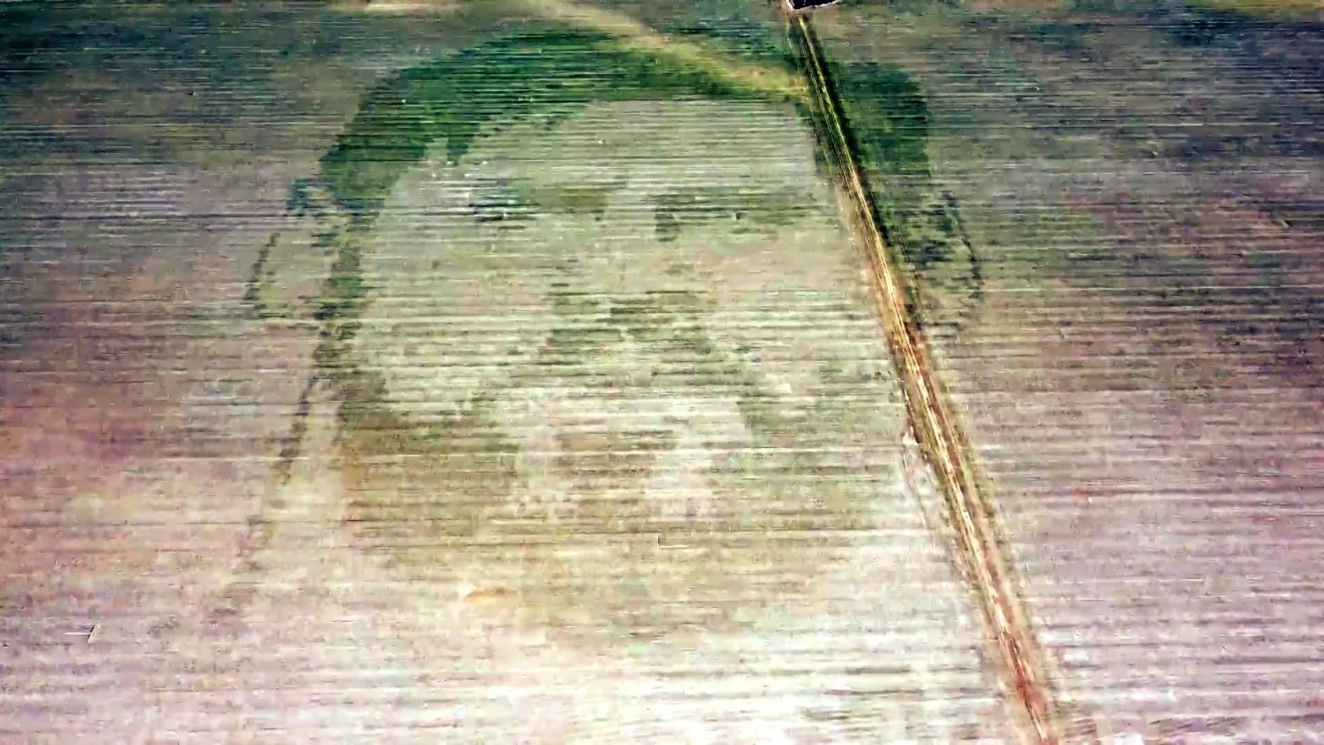 Messi, en un campo de ma&iacute;z en Argentina