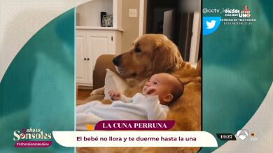 El truco definitivo para dormir a los bebés: usar a tu perro como cuna... ¡Los relaja como nada!