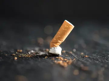 Colillas de cigarrillos Colillas de cigarrillos