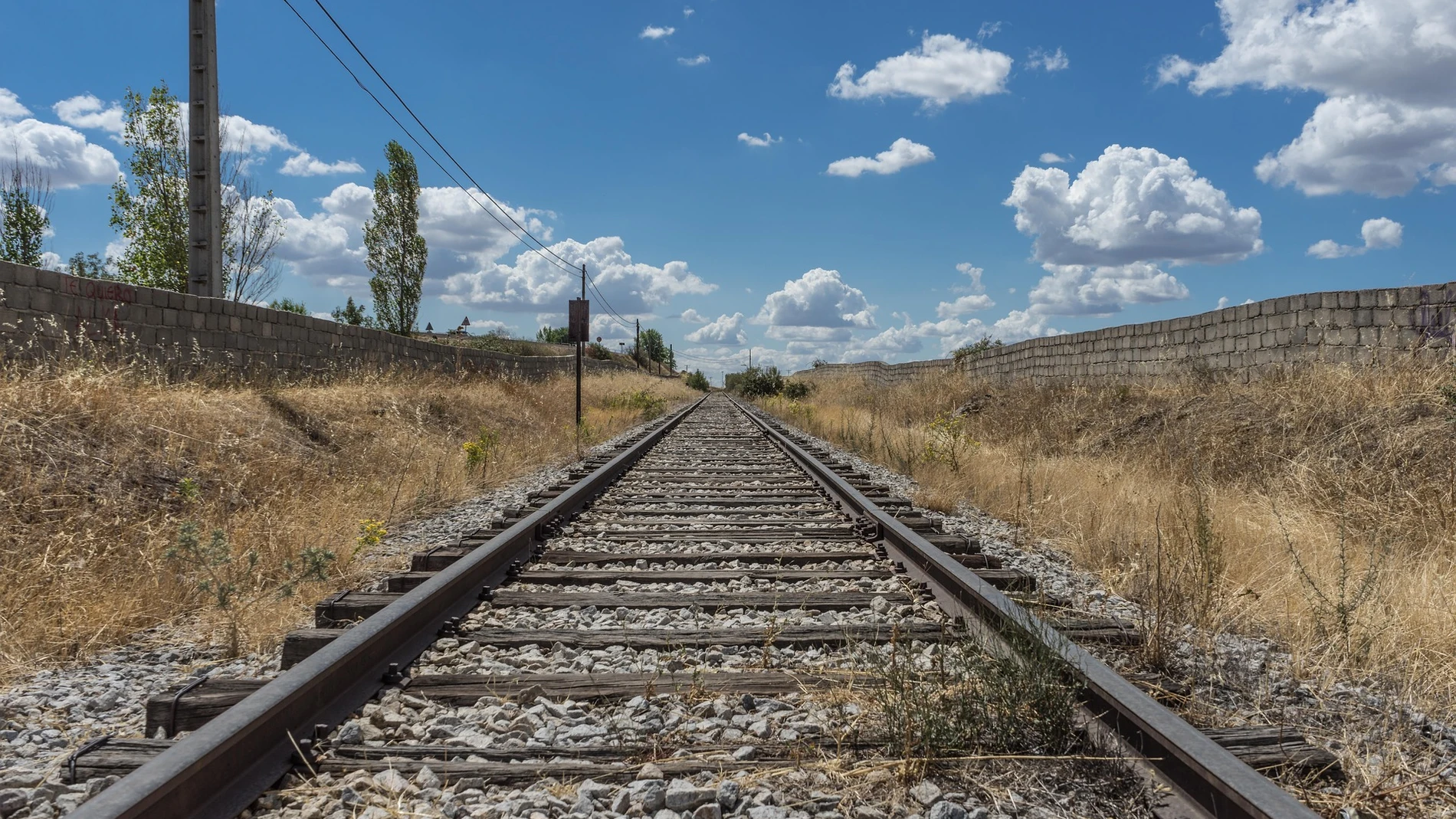 Arrollamiento accidental de tren en Los Molinos 