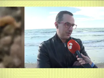 Testigo del hallazgo del cadáver mutilado en Marbella Testigo del hallazgo del cadáver mutilado en Marbella