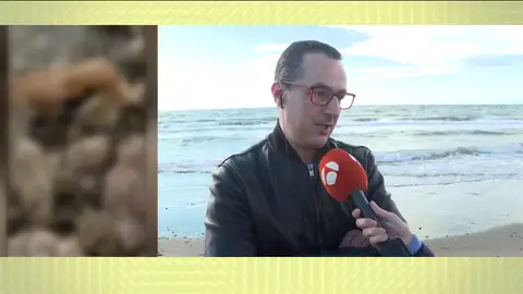 Testigo del hallazgo del cadáver mutilado en Marbella Testigo del hallazgo del cadáver mutilado en Marbella