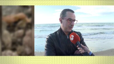 Un camarero, testigo del cadáver sin cabeza hallado en Marbella: 