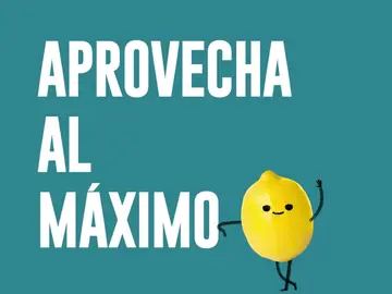 Los trucos para conservar fresco el limón una vez cortado Los trucos para conservar fresco el limón una vez cortado