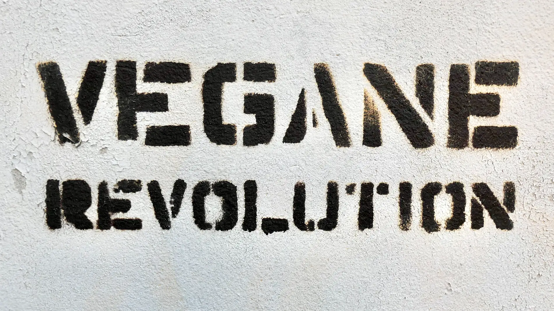 Vegan Revolution