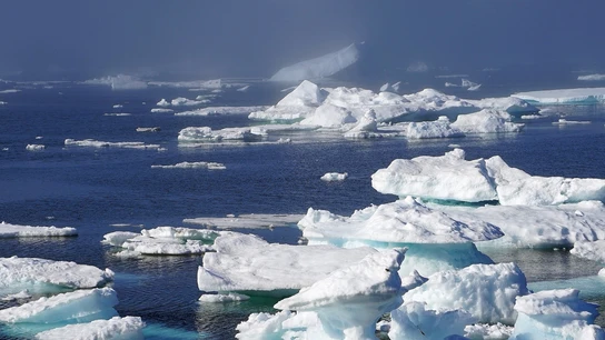 La zona del interior del noroeste de Groenlandia tiene una capa de hielo más fina La zona del interior del noroeste de Groenlandia tiene una capa de hielo más fina