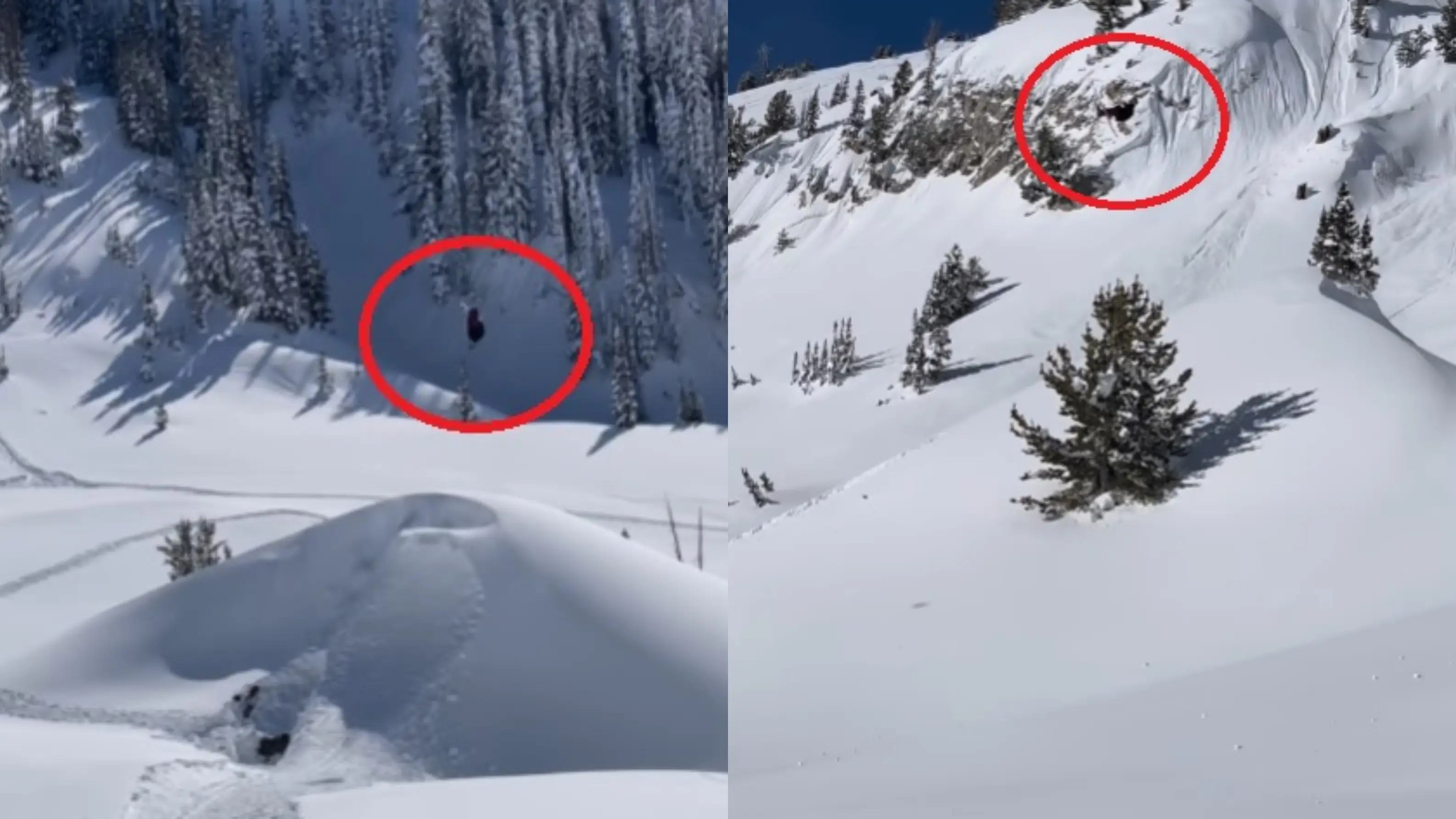 Tanner Hall ejecuta un cu&aacute;druple backflip