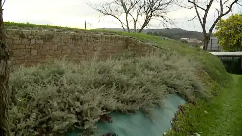 Cubrir la casa de verde para ahorrar energía: "Gastamos un 30% menos de calefacción y ayudamos a contaminar menos" Cubrir la casa de verde para ahorrar energía: "Gastamos un 30% menos de calefacción y ayudamos a contaminar menos"