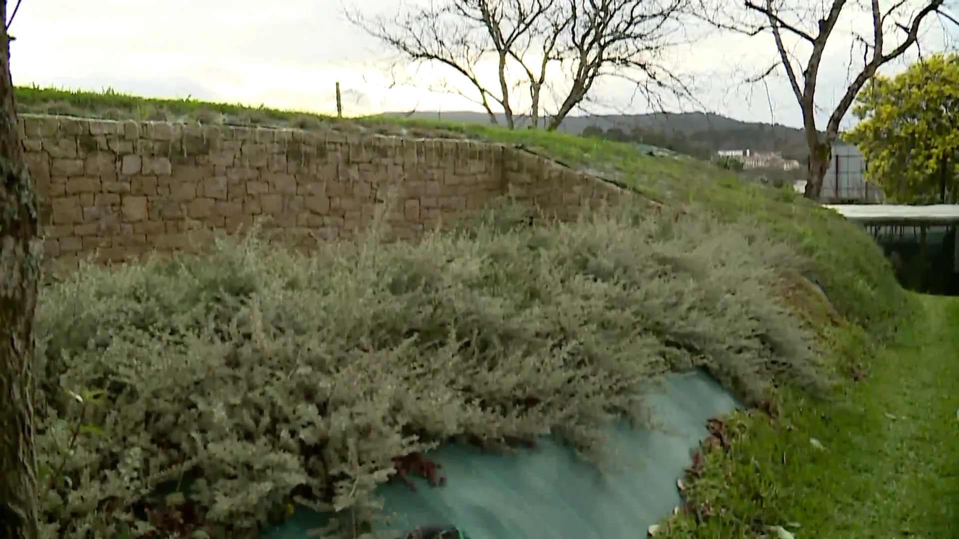 Cubrir la casa de verde para ahorrar energía: "Gastamos un 30% menos de calefacción y ayudamos a contaminar menos" Cubrir la casa de verde para ahorrar energía: "Gastamos un 30% menos de calefacción y ayudamos a contaminar menos"