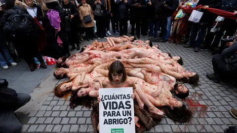 Miembros de la organización AnimaNaturalis protestan desnudos por el uso de pieles animales en la moda y exigir el cierre de las granjas peleteras, este domingo en Madrid. Miembros de la organización AnimaNaturalis protestan desnudos por el uso de pieles animales en la moda y exigir el cierre de las granjas peleteras, este domingo en Madrid.