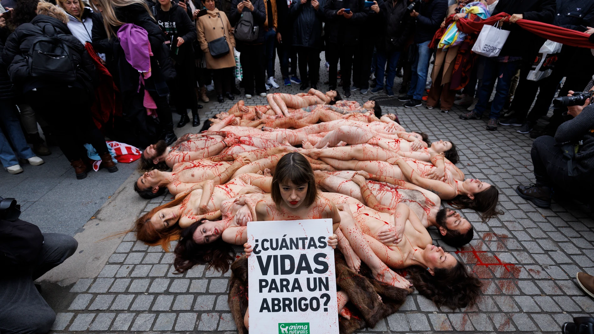  Miembros de la organización AnimaNaturalis protestan desnudos por el uso de pieles animales en la moda y exigir el cierre de las granjas peleteras, este domingo en Madrid. 