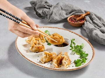 Gyoza y soja