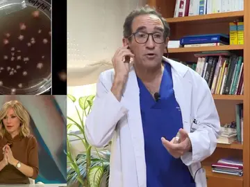 Aumentan los casos de tiña. Aumentan los casos de tiña.