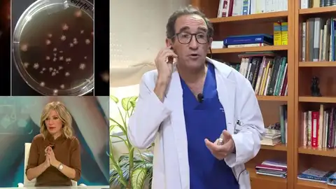 Aumentan los casos de tiña. Aumentan los casos de tiña.