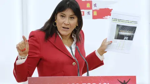 Secretaria de Organización del PSOE de Castilla y León, Ana Sánchez Secretaria de Organización del PSOE de Castilla y León, Ana Sánchez