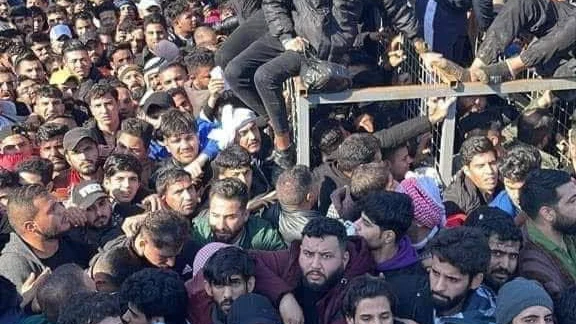 Estampida en Basora (Irak) Estampida en Basora (Irak)