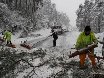 Varios operarios trabajan para restablecer el tráfico en la carretera N-135 Varios operarios trabajan para restablecer el tráfico en la carretera N-135
