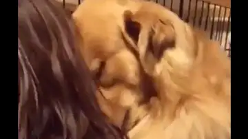 La emotiva reacción de un perro con su nueva familia al ser adoptado