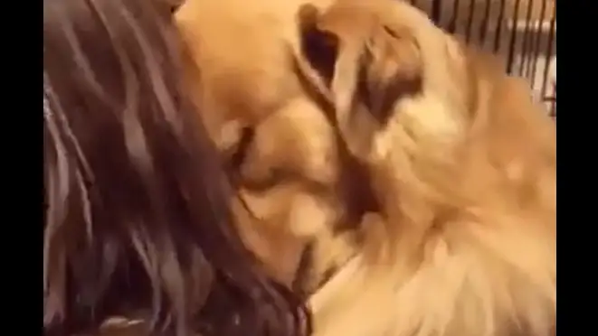 La emotiva reacción de un perro con su nueva familia al ser adoptado La emotiva reacción de un perro con su nueva familia al ser adoptado