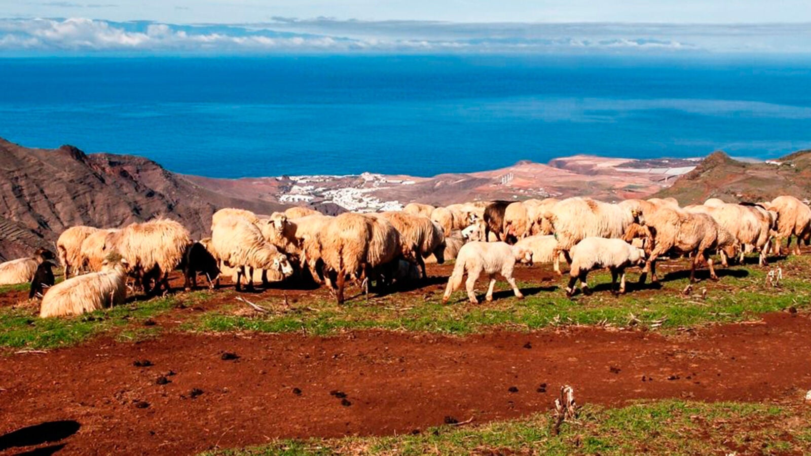 Caideros de Gáldar, el pequeño pueblo de Canarias que ya tiene más pensionistas que trabajadores