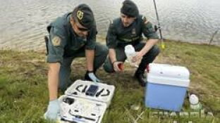 Imagen de agentes del Seprona