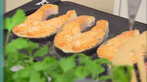 Cocina el salmón Cocina el salmón