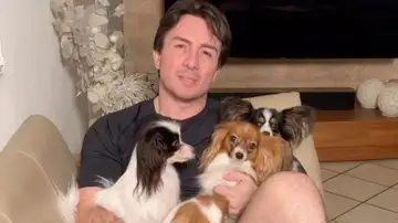 El hombre al que le perdieron sus cuatro perros en el aeropuerto vuelve a reencontrarse con ellos El hombre al que le perdieron sus cuatro perros en el aeropuerto vuelve a reencontrarse con ellos