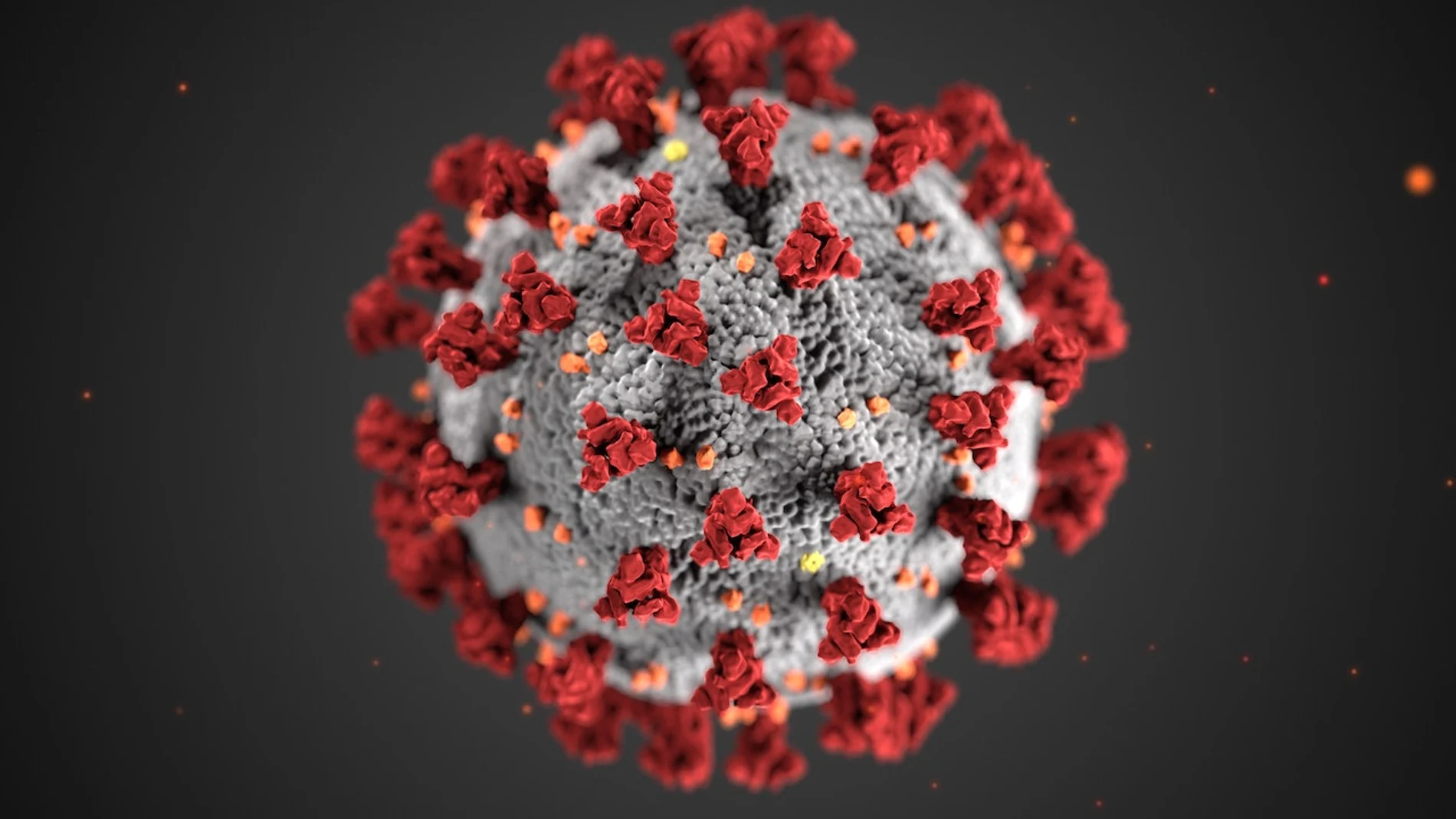 Imagen del Coronavirus