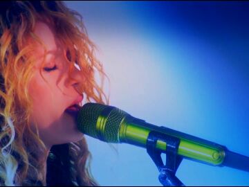 Shakira se convierte en leyenda: contará con una exposición en el Museo de los Grammy de Los Ángeles