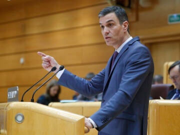 Pedro Sánchez