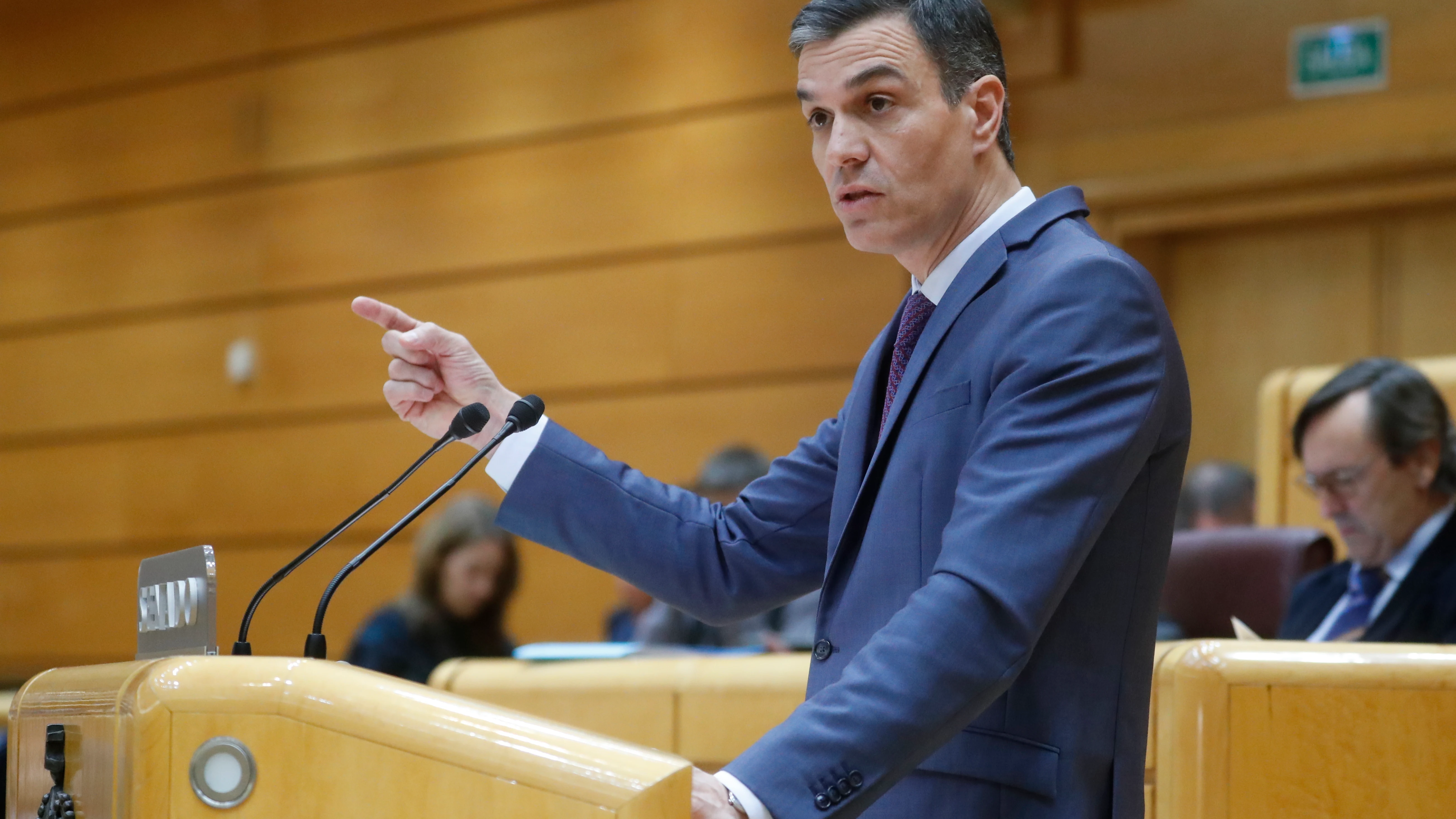 Pedro S&aacute;nchez