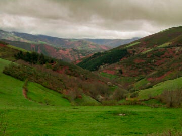 Montes de Galicia