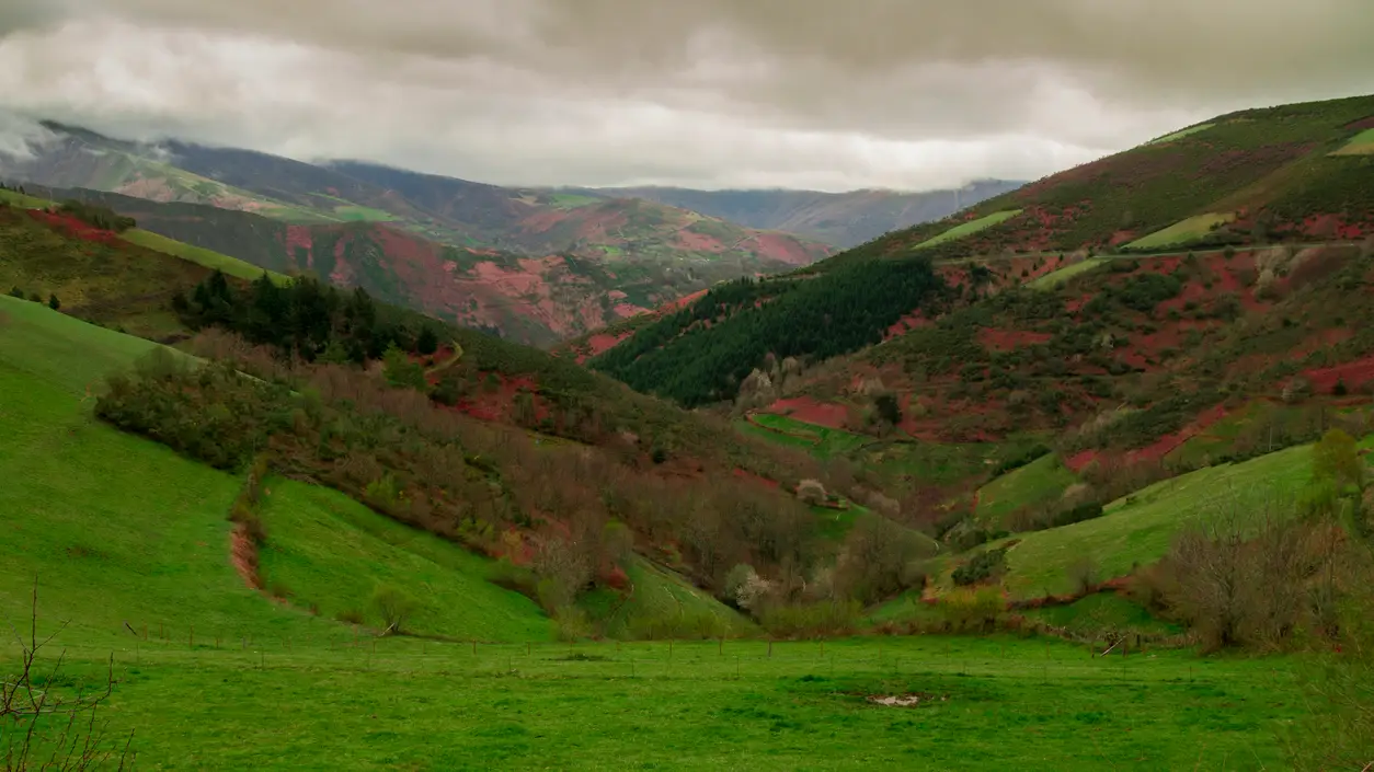 Montes de Galicia Montes de Galicia