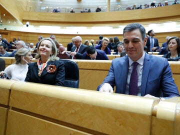 Pedro Sánchez en el pleno del Senado