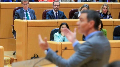 Cara a cara entre Pedro Sánchez y Alberto Núñez-Feijóo en el Senado, streaming en directo