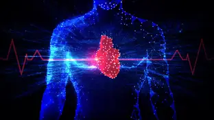 Investigación sobre el corazón Investigación sobre el corazón
