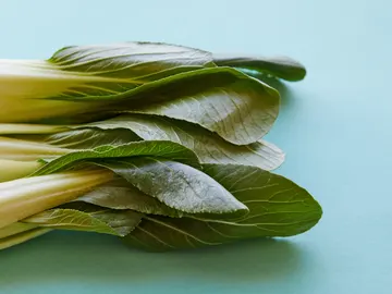 Pak Choi Pak Choi