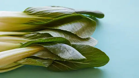 Pak Choi Pak Choi