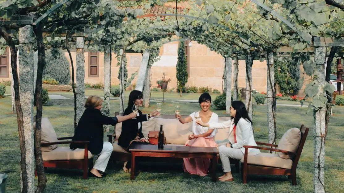 Mujeres brindando con vino Mujeres brindando con vino