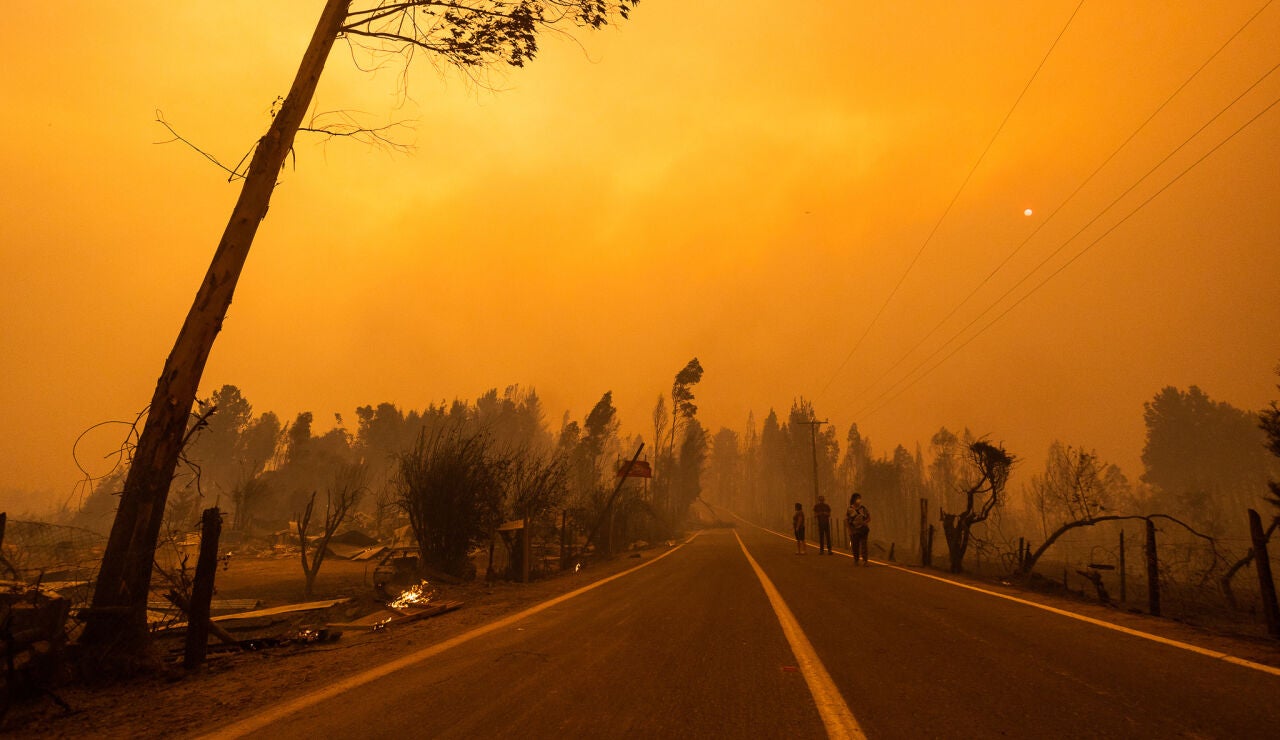 Imagen de una de las zonas afectadas por los incendios forestales
