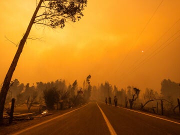 Imagen de una de las zonas afectadas por los incendios forestales
