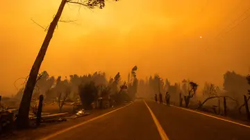 Imagen de una de las zonas afectadas por los incendios forestales Imagen de una de las zonas afectadas por los incendios forestales