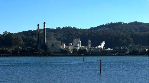 Fábrica de celulosa en Pontevedra Fábrica de celulosa en Pontevedra