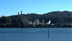 Fábrica de celulosa en Pontevedra