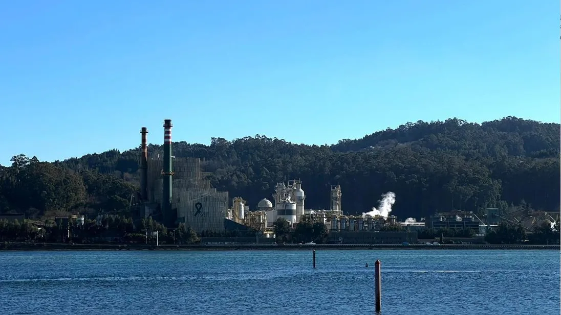 F&aacute;brica de celulosa en Pontevedra