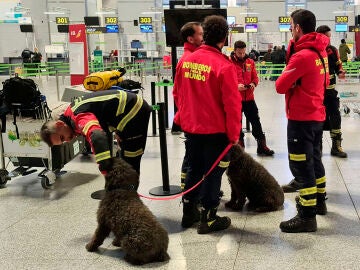 Un equipo de siete bomberos en el aeropuerto de Málaga esperando para partir rumbo a Turquía