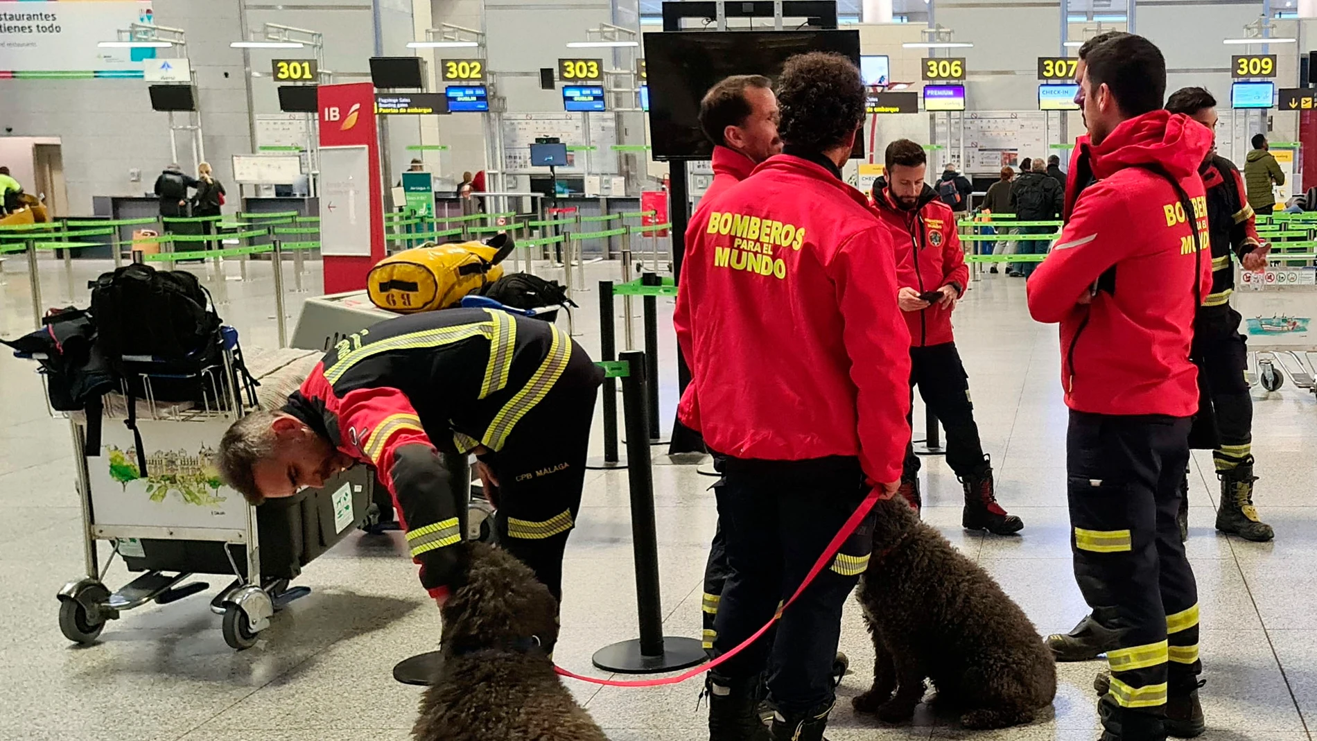 Un equipo de siete bomberos en el aeropuerto de Málaga esperando para partir rumbo a Turquía
